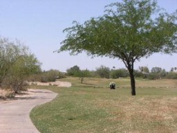 Arizona Golf Course lot!